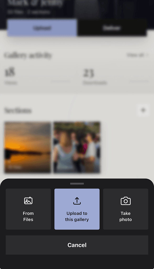 Relyve upload sheet: from files, upload to this gallery, or take a photo